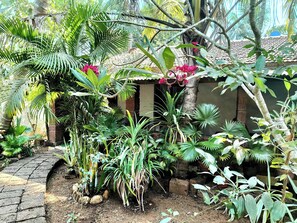 Property grounds - L'Azur .1 Studio Cottage, Vagator Beach, GOA (Vagator)