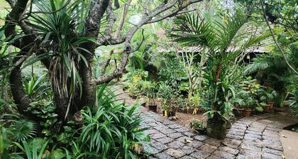 L'Azur .1 Studio Cottage, Vagator Beach, GOA