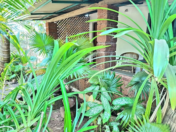 Detalle exterior