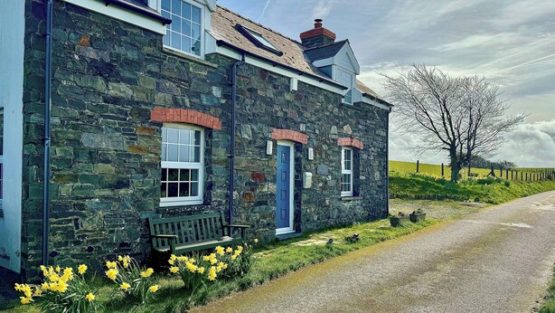 A stone house with a gabled roof, a front porch, and a small garden with daffodils. - 3 bedroom accommodation in Aberystwyth (Aberystwyth)