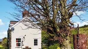 A white house with a satellite dish, a window with red curtains, and a large tree in the background. - 3 bedroom accommodation in Aberystwyth (Aberystwyth)