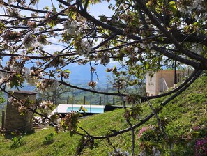 Property grounds - GrazieSole Farmhouse whole house exclusively, facing the Sibillini Mountains (Penna San Giovanni)