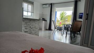 1 chambre, accès Internet