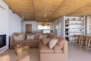 TV connectée, cheminée, livres