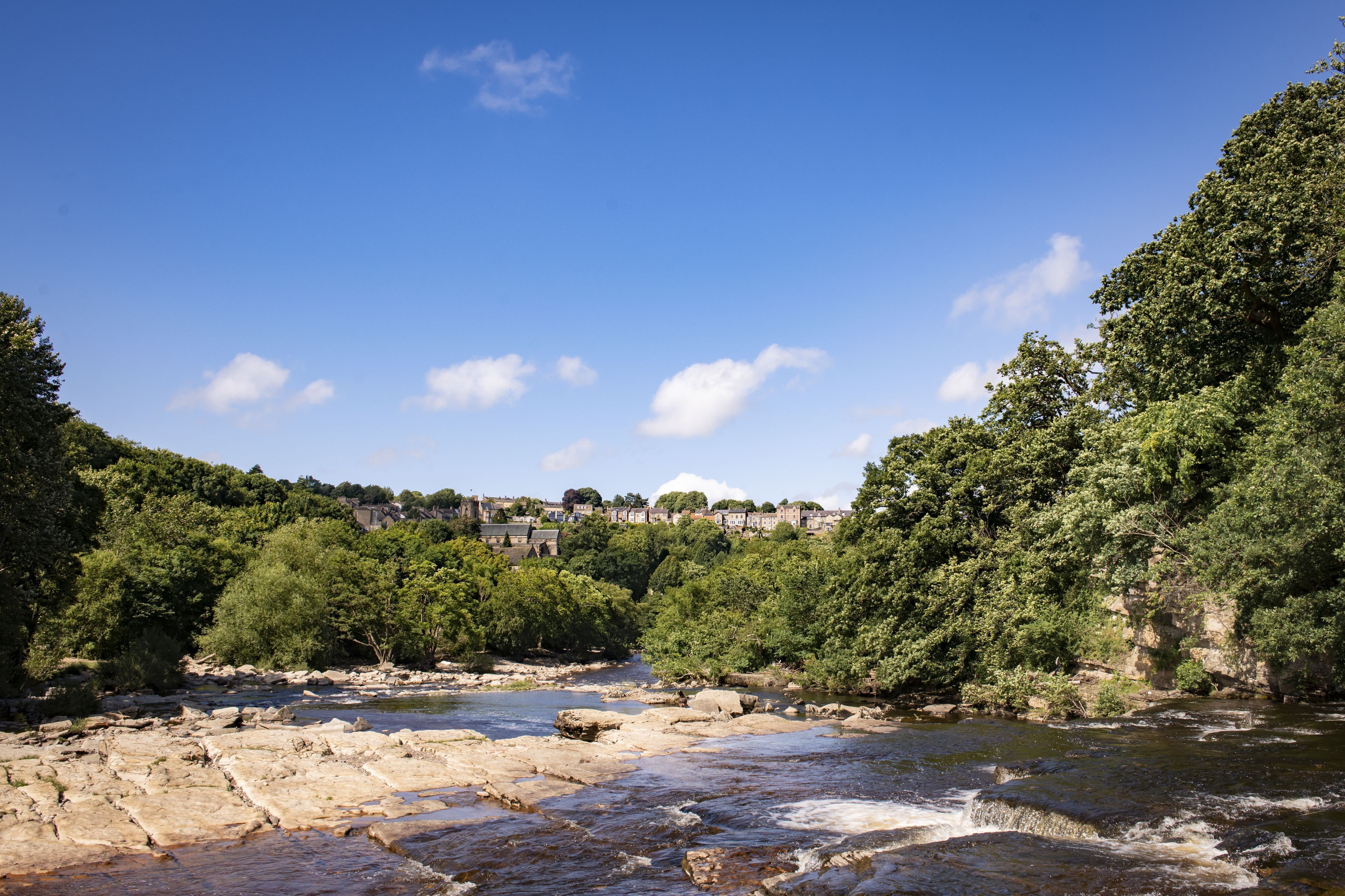 A river with rocky bed, surrounded by dense green trees and a town in the background.