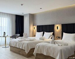 Deluxe İki Ayrı Yataklı Oda, Şehir Manzaralı | Mısır pamuklu çarşaf takımı, kaliteli yatak takımı, minibar, odada kasa 