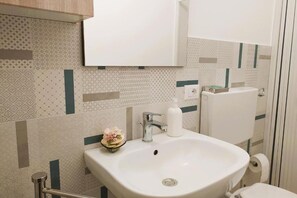 Douche, sèche-cheveux, bidet, serviettes fournies