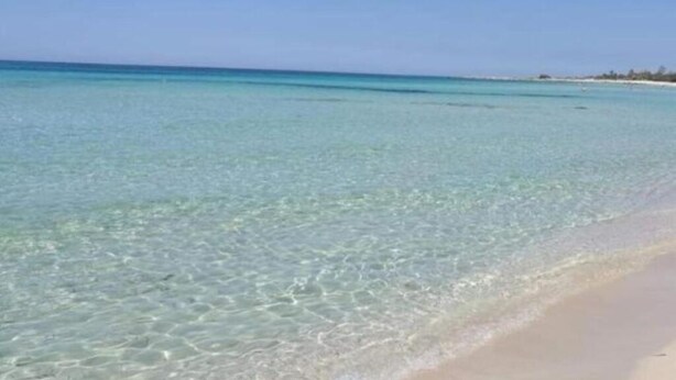 A beach with clear turquoise water and a sandy shore.