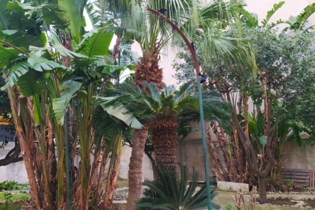 Parco della struttura