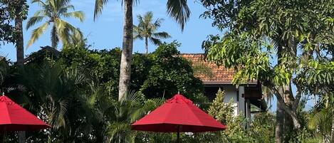 A pool area with lounge chairs and red umbrellas, surrounded by palm trees and greenery.