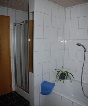 Shower, hair dryer