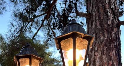 VILLA PENELOPE PLATRES