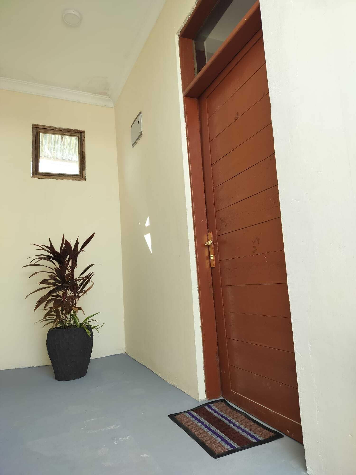 A hallway with a brown door, a potted plant, a small window, and a doormat.