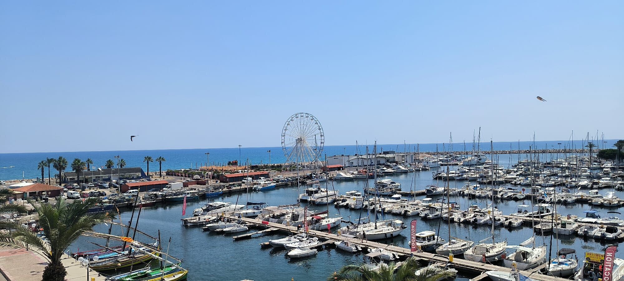 مارينا