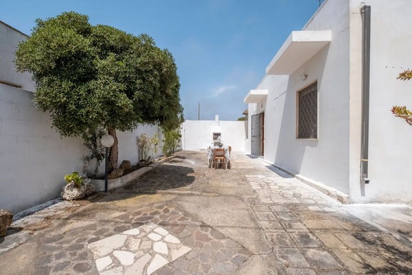 Autumn, Garden, Spring, Summer