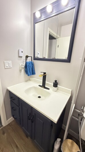 Bidet, towels, soap, toilet paper