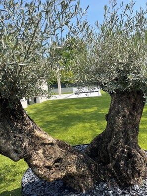 المنطقة المحيطة بالمنشأة