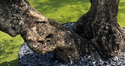 Villa avec piscine idĂ©alement situĂ©e Ă Andernos les Bains, Bassin dâArcachon