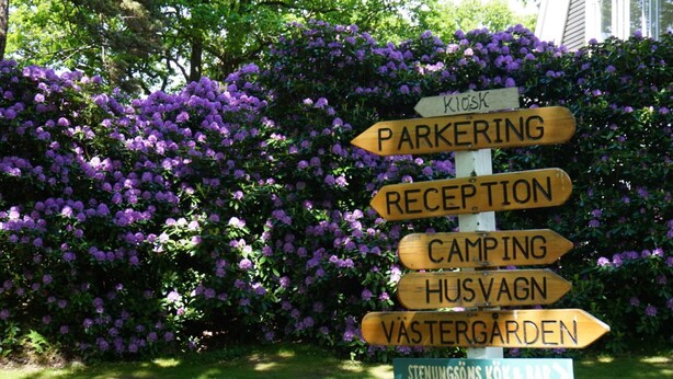 A wooden signpost with directional arrows pointing to various facilities such as a kiosk, parkering, reception, camping, hus vagn, vastergarden, and a bar. - 2 Person Holiday Park Home in Stenungsund (Stenungsund)