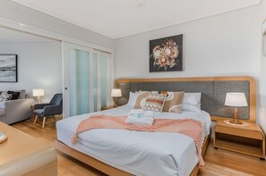 1 camera, ferro/asse da stiro, Wi-Fi