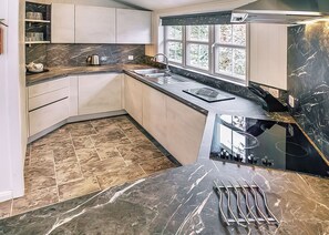 Fridge, oven, stovetop, toaster