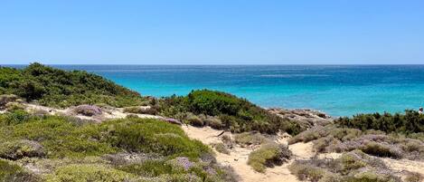 Plage