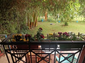Terras