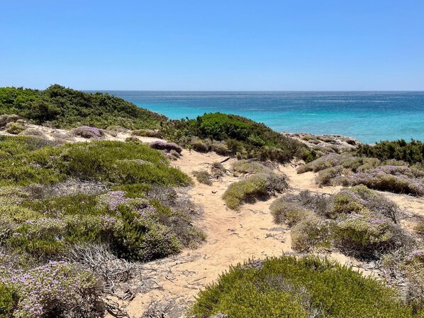 Strand