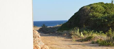 A coastal landscape with a stone wall, a rocky hill, and sparse vegetation.