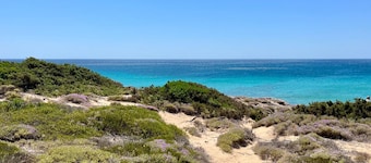 Thyme Studio - Nestled in the sand dunes, 20m from the free beach