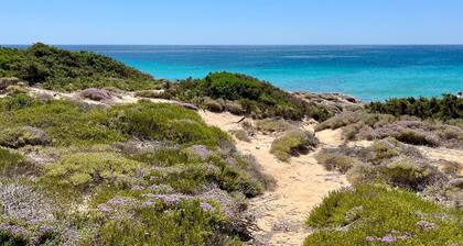 Thyme Studio - Nestled in the sand dunes, 20m from the free beach