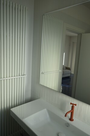 Shower, hair dryer, bidet, towels