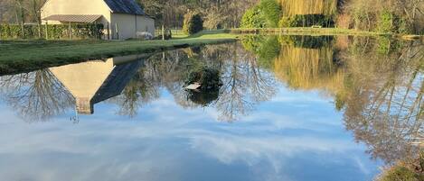 Jardines del alojamiento