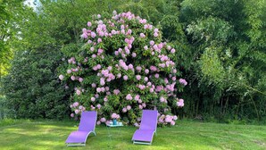 Un jardín con dos sillones morados y un árbol grande con flores.