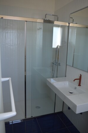 Shower, hair dryer, bidet, towels