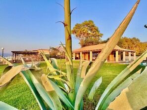 Property grounds - Beachfront Villa Calypso with private pool (Acharavi)