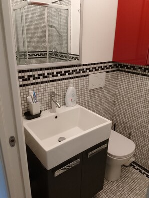 Shower, hair dryer, bidet, towels