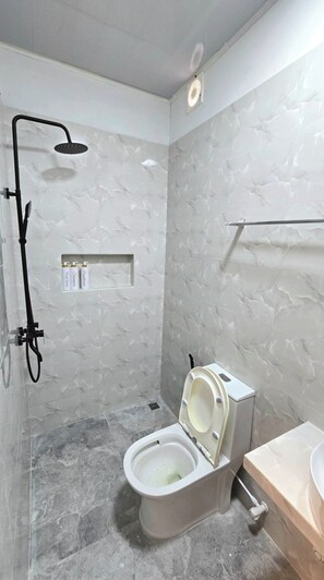 Shower, hair dryer, towels, toilet paper