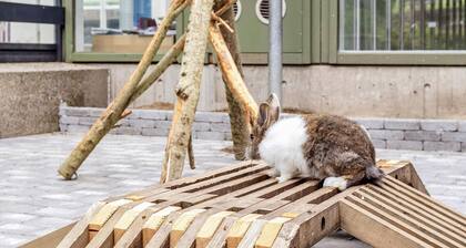 2 Person Holiday Home on a Holiday Park in Hanstholm