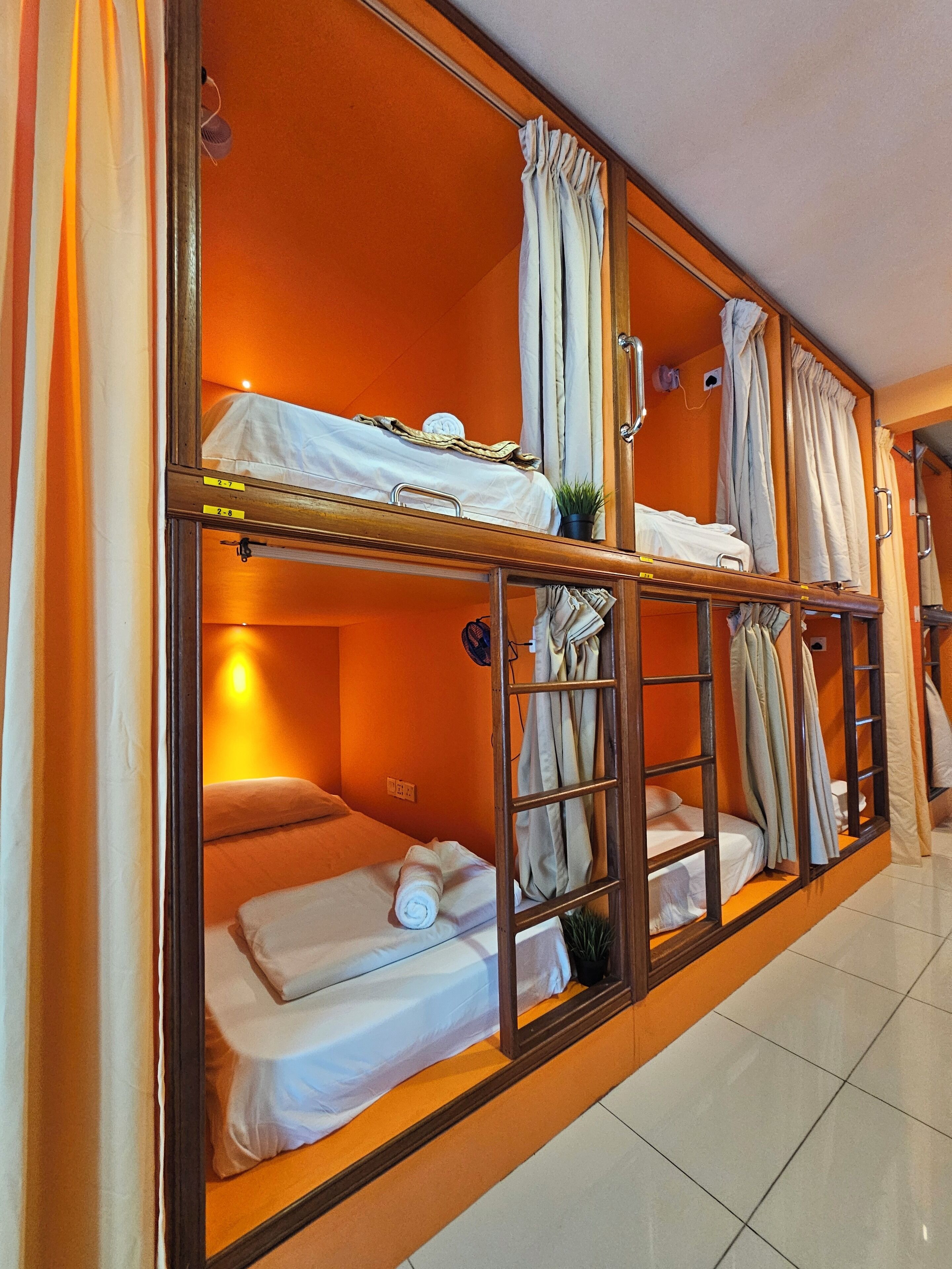 A dormitory-style room with bunk beds, a small potted plant, and a wall-mounted light fixture.