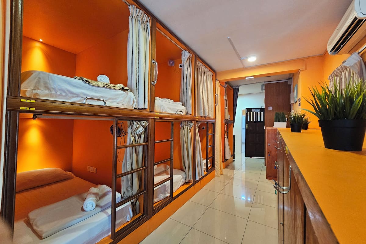 A hotel room with bunk beds, a small kitchenette, and a potted plant.