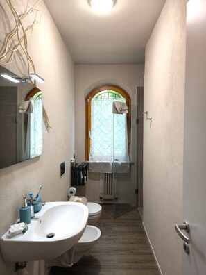 Dusche, Haartrockner, Handtücher, Seife