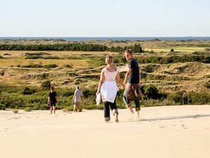 House | Beach