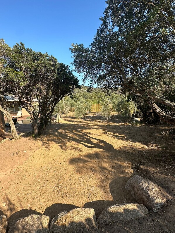 A dry, rocky landscape with sparse vegetation and a few trees.