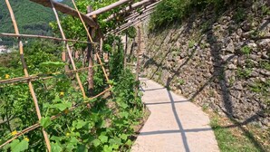 施設の敷地