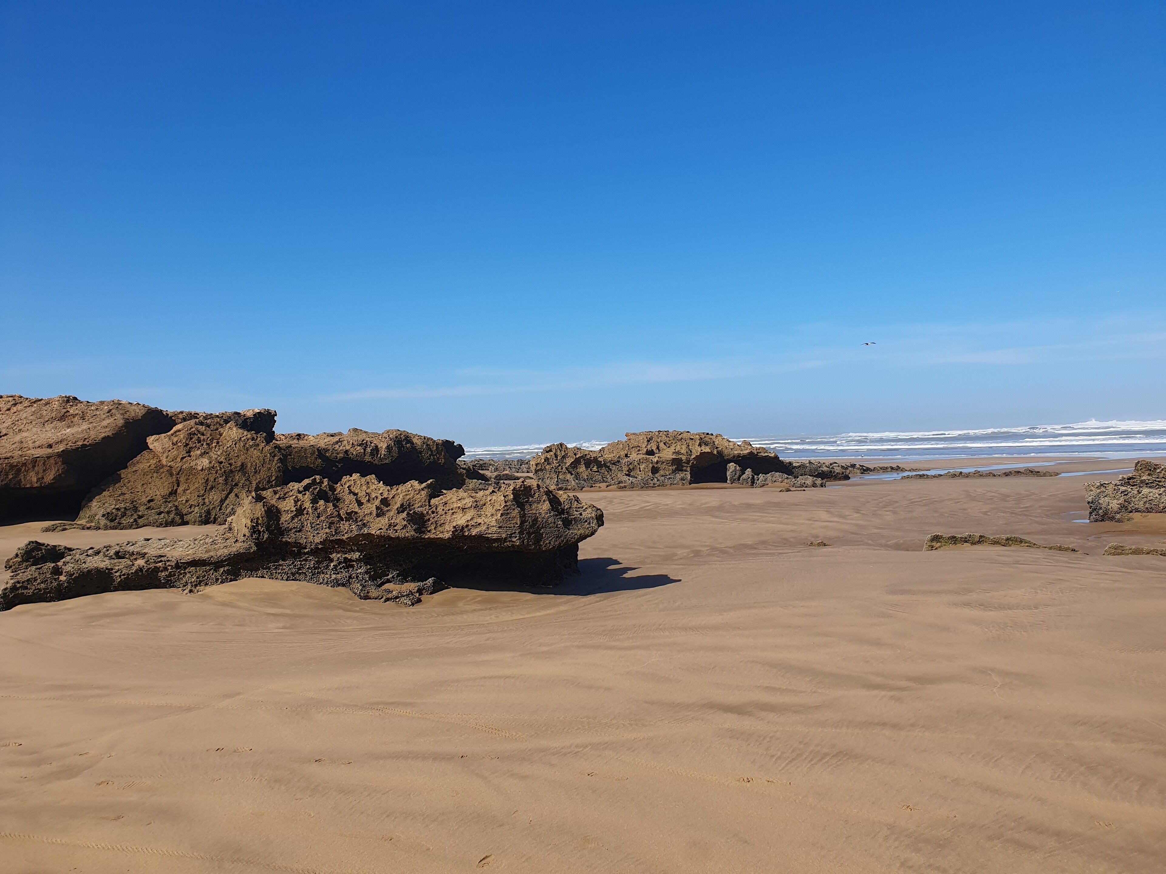 Plage à proximité, chaises longues, parasols