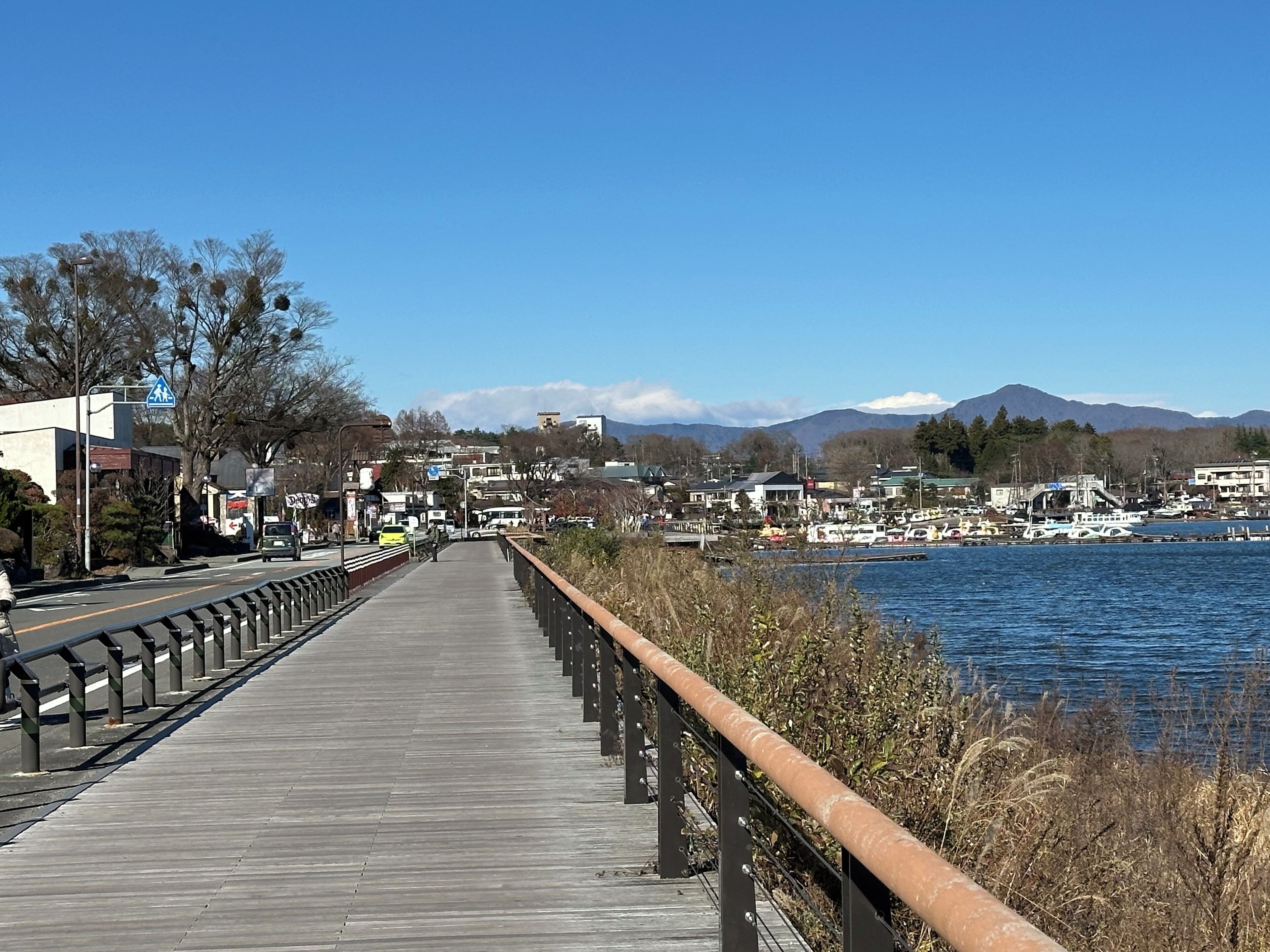 A wooden boardwalk with railings, leading to a marina with boats and a backdrop of mountains.