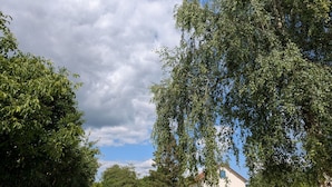 Uklassifisert bilde, 5 av 27, knapp