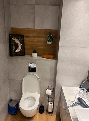 Douche, sèche-cheveux, serviettes fournies, papier toilette
