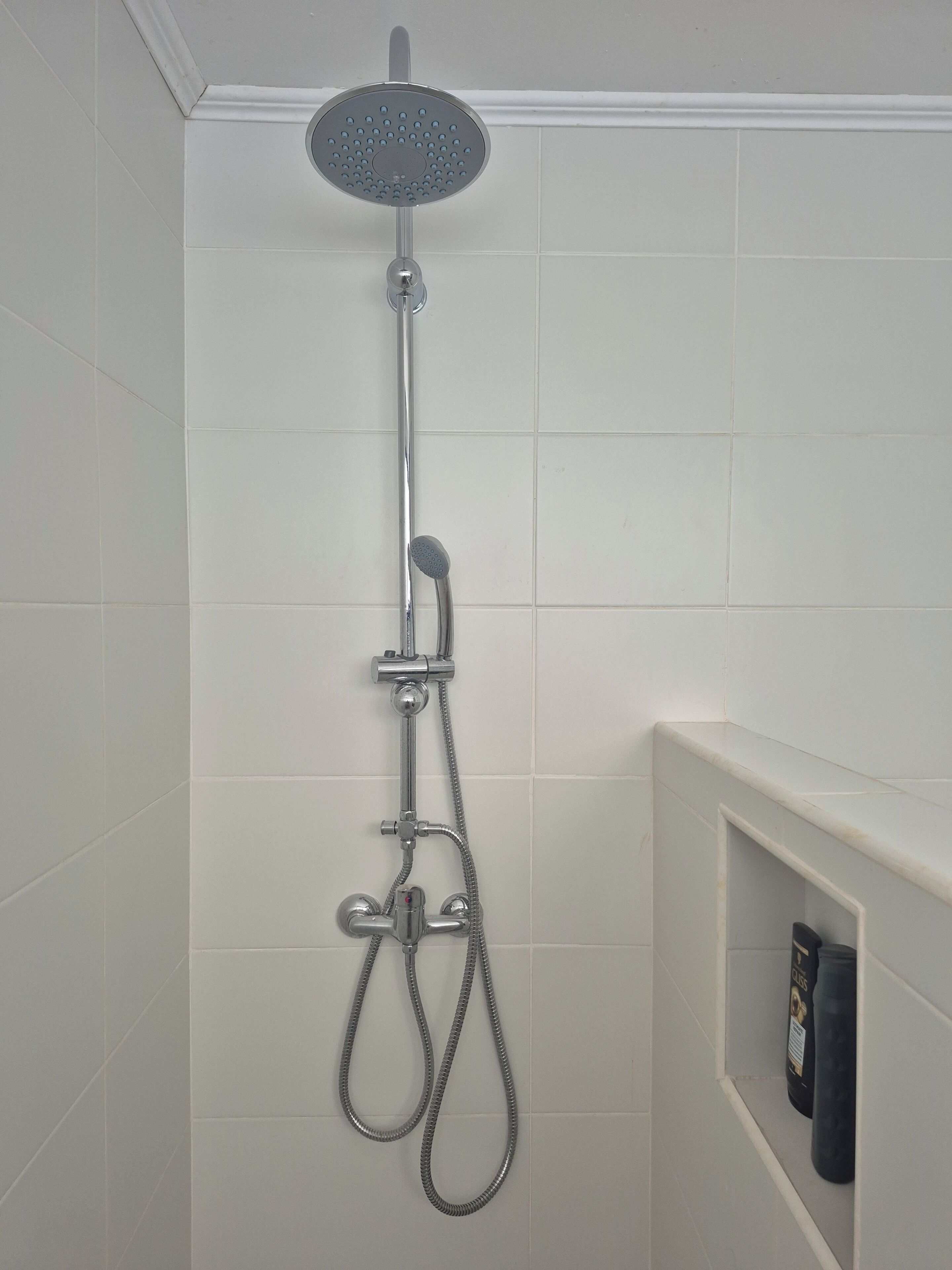 Une douche équipée d’un pommeau de douche à main et d’un flexible.